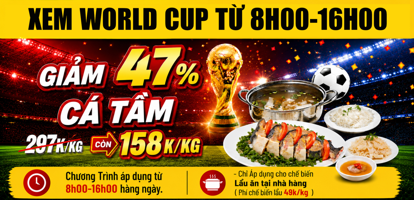 Banner Đã Tối ưu