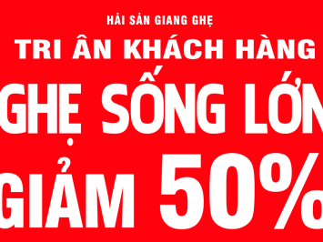 ĐẦU TUẦN SALE LỚN - GHẸ SỐNG GIẢM 50%