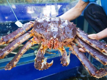 King Crab Xanh (Cua Hoàng Đế) Giang Ghẹ