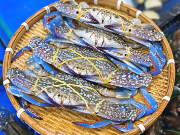 Bỏ túi bí kíp về cách chọn lựa ghẹ xanh tươi ngon nhiều thịt