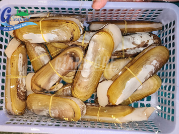 cách làm sạch ốc móng tay siêu dễ Tổng hợp 2 món ngon 