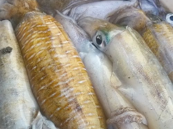 Bạn đang tìm kiếm đơn vị chuyên nhận cung cấp hải sản tươi giá sỉ?