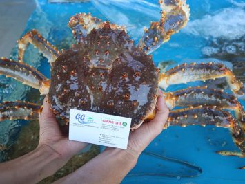 Giá cua Kingcrab rẻ nhất - chất lượng nhất Thành Phố Hồ Chí Minh 