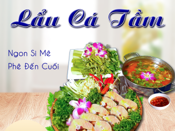 CÁ TẦM NẤU LẨU 