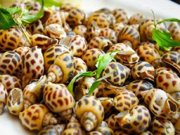Cập Nhật Giá Ốc Hương Mới Nhất Tại Hải Sản Giang Ghẹ
