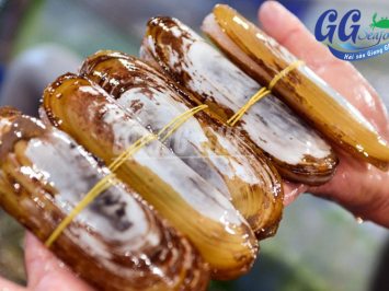 ốc móng tay (chúa) là ốc gì ? Tổng hợp 5 món ngon từ ốc móng tay