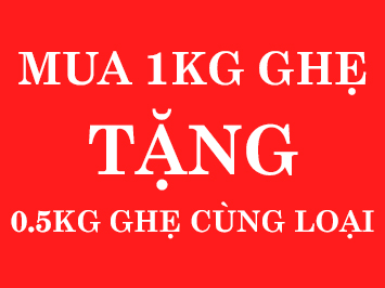 GHẸ GIÁ RẺ VỪA MUA VỪA ĐƯỢC TẶNG 