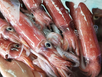 Tìm hiểu ngay vựa hải sản tươi Tân Bình chất lượng tốt nhất TpHCM