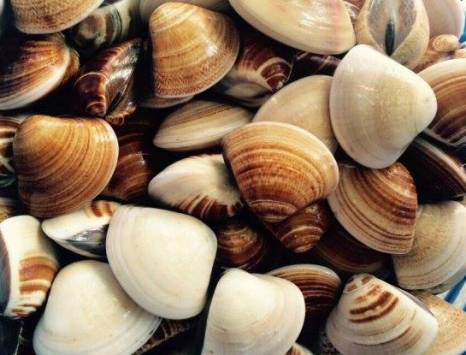 Chuyên bán hải sản giá sỉ tươi ngon nhất Tân Bình top đầu thị trường