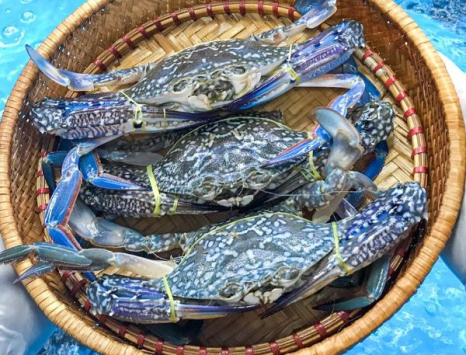 Ghẹ Xanh Hải Sản Giang Ghẹ