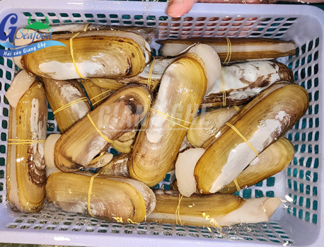 cách làm sạch ốc móng tay siêu dễ Tổng hợp 2 món ngon 