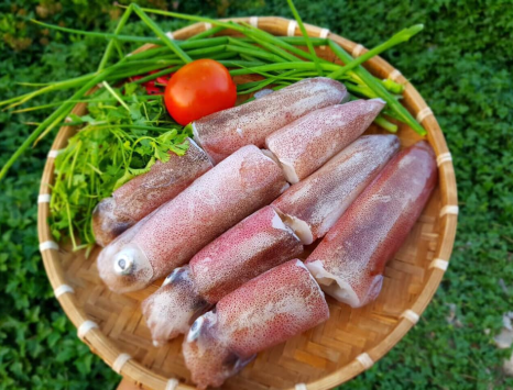 Đâu là đơn vị chuyên cung cấp hải sản giá rẻ TpHCM tươi ngon?