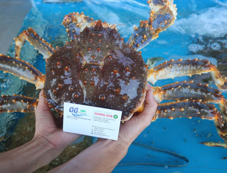 Giá cua Kingcrab rẻ nhất - chất lượng nhất Thành Phố Hồ Chí Minh 
