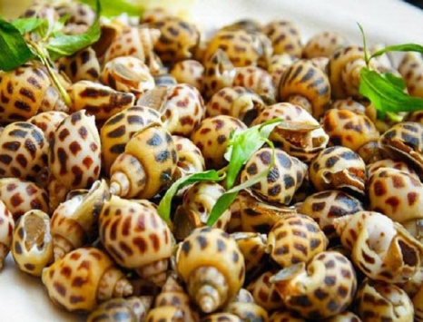 Cập Nhật Giá Ốc Hương Mới Nhất Tại Hải Sản Giang Ghẹ