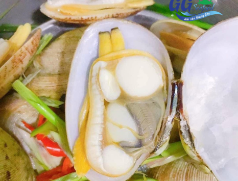 NGAO 2 CỒI LÀ NGAO GÌ ? MÓN NGON TỪ NGAO 2 CỒI MÀ BẠN NÊN BIẾT 