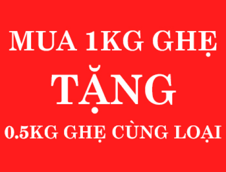 GHẸ GIÁ RẺ VỪA MUA VỪA ĐƯỢC TẶNG 