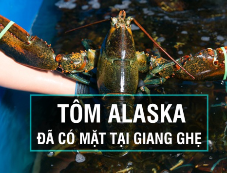 KHÁM PHÁ THẾ GIỚI HẢI SẢN TƯƠI TẠI BÌNH DƯƠNG UY TÍN, CHẤT LƯỢNG