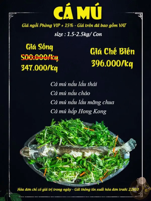 CÁ MÚ