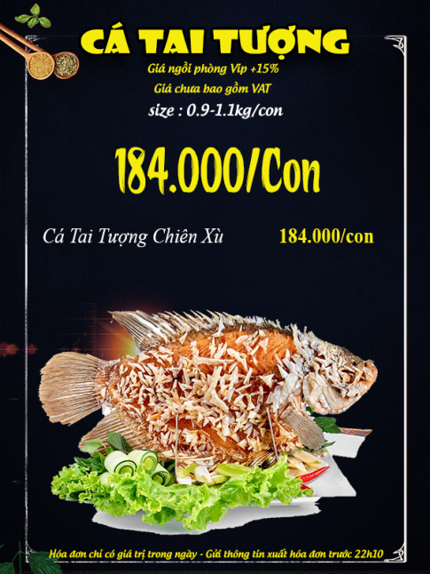 CÁ TAI TƯỢNG