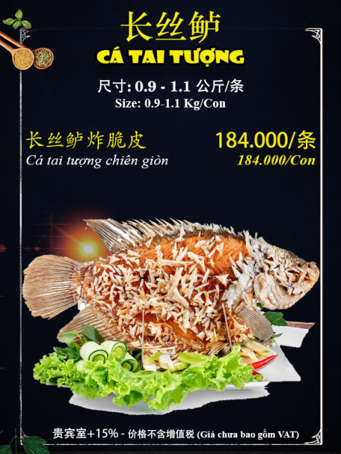 Cá Tai Tượng