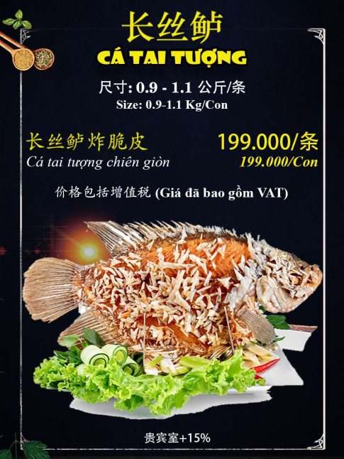 Cá Tai Tượng