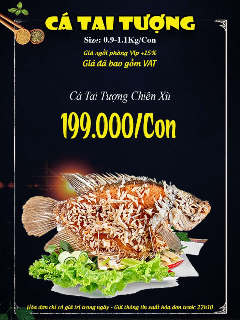 CÁ TAI TƯỢNG