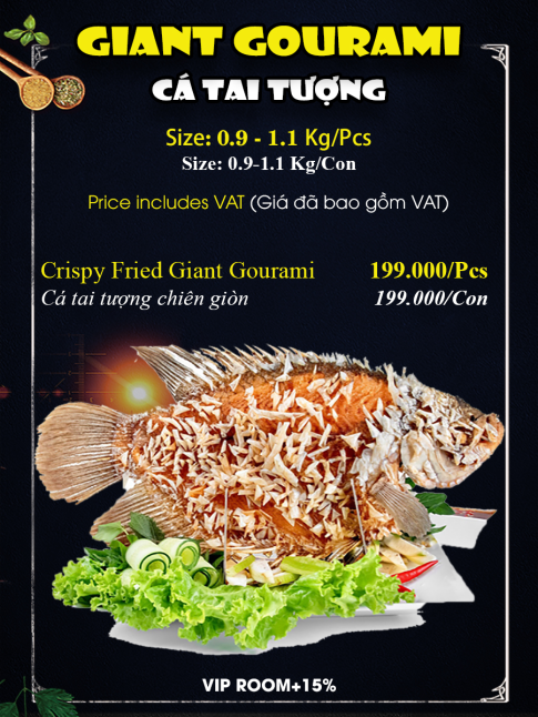 Cá Tai Tượng