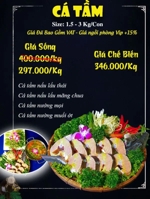 CÁ TẦM 