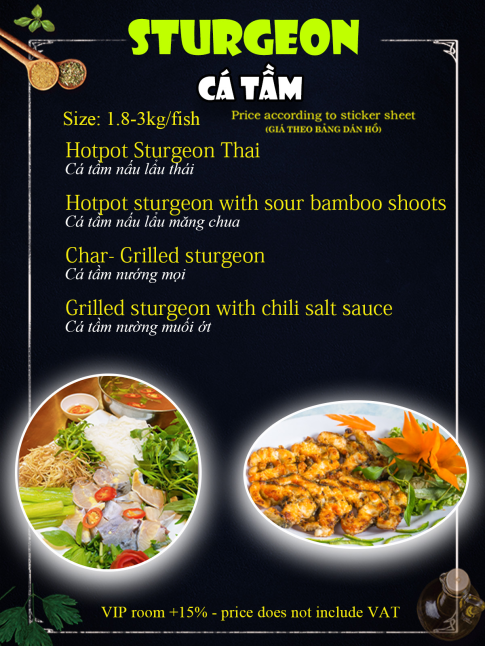 Cá Tầm