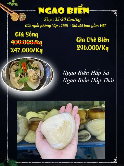 Ngao Biển