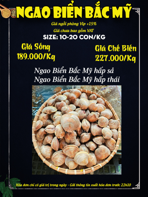 NGAO BIỂN BẮC MỸ
