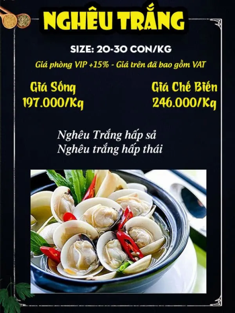 Nghêu Trắng