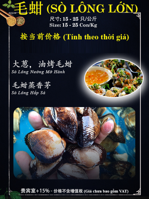 SÒ LÔNG LỚN