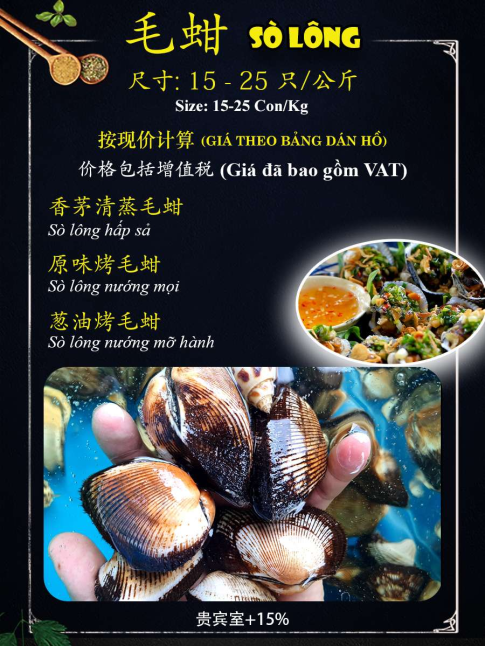 SÒ LÔNG LỚN