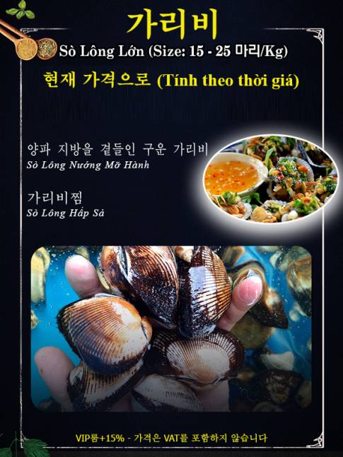 SÒ LÔNG LỚN