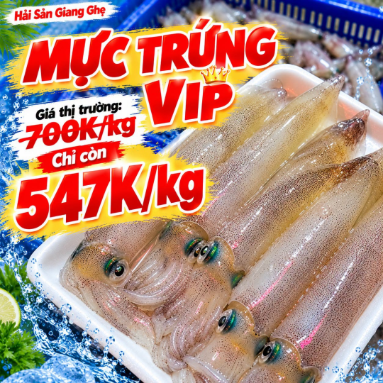 MỰC TRỨNG VIP