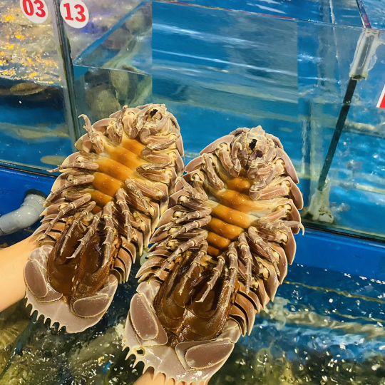 HẢI SẢN RẤT TƯƠI