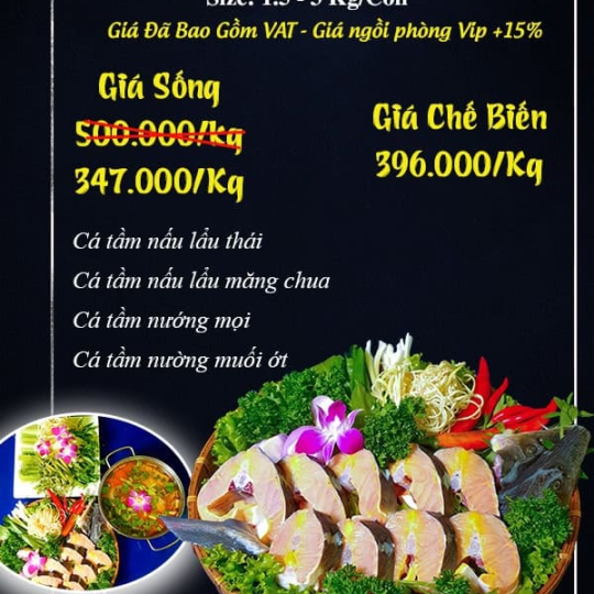 CÁ TẦM 