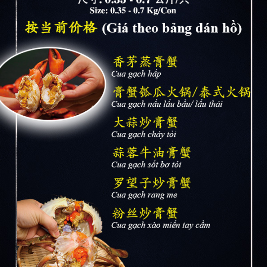 CUA GẠCH