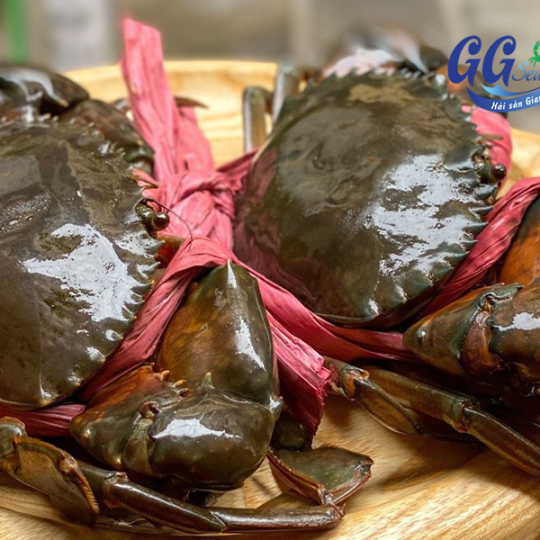 CUA GẠCH (Size 0.35-0.7Kg/Con) - Giá đã bao gồm VAT