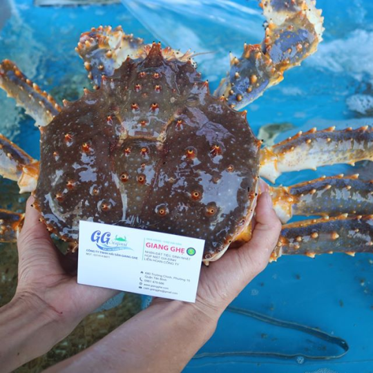 CUA HOÀNG ĐẾ (KING CRAB) (Size: 1.8 - 3.5 Kg/Con) - Giá đã bao gồm VAT