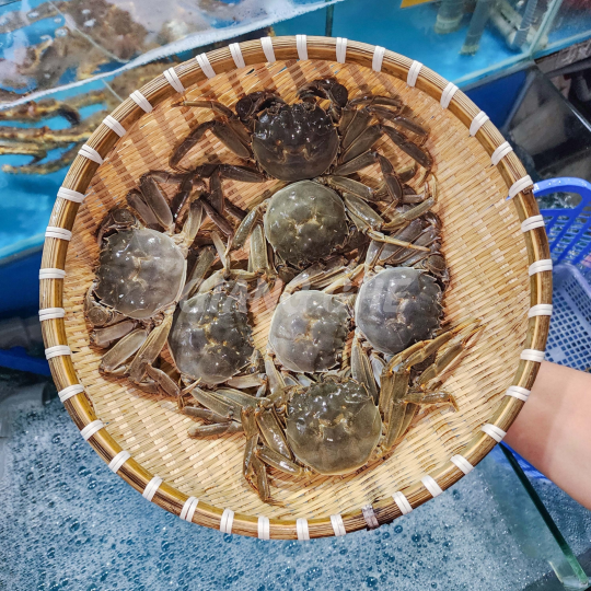CUA LÔNG (Size: 6-9 Con/Kg) - Giá chưa bao gồm VAT