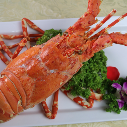 TÔM HÙM BÔNG (Size 0.6-0.9 Kg/Con)  - GIÁ ĐÃ BAO GỒM VAT