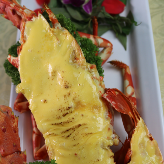 TÔM HÙM BÔNG (Size 0.6-0.9 Kg/Con)  - GIÁ ĐÃ BAO GỒM VAT