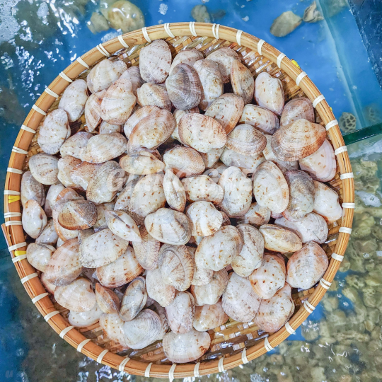 NGAO 2 CỒI (Size: 20-30 Con/Kg) - Giá đã bao gồm VAT