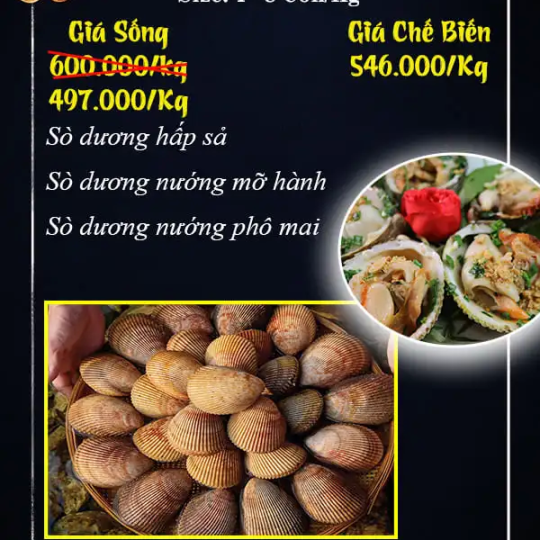 SÒ DƯƠNG