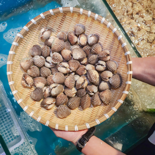 SÒ HUYẾT (Size: 15-40 Con/Kg) - Giá đã bao gồm VAT