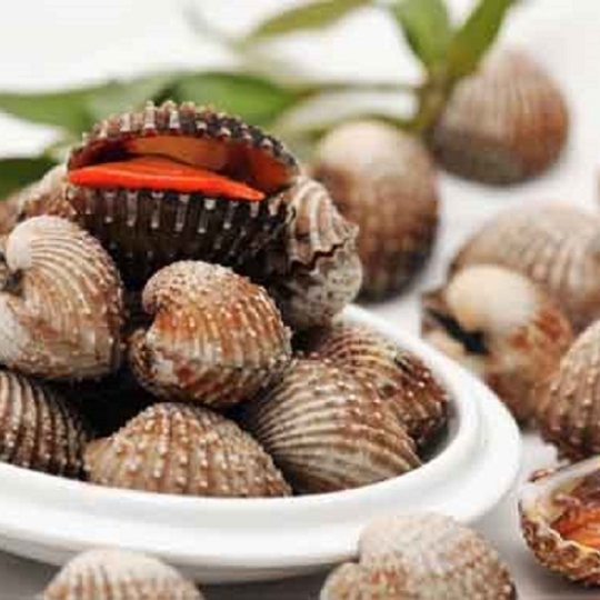 SÒ HUYẾT (Size: 15-40 Con/Kg) - Giá đã bao gồm VAT