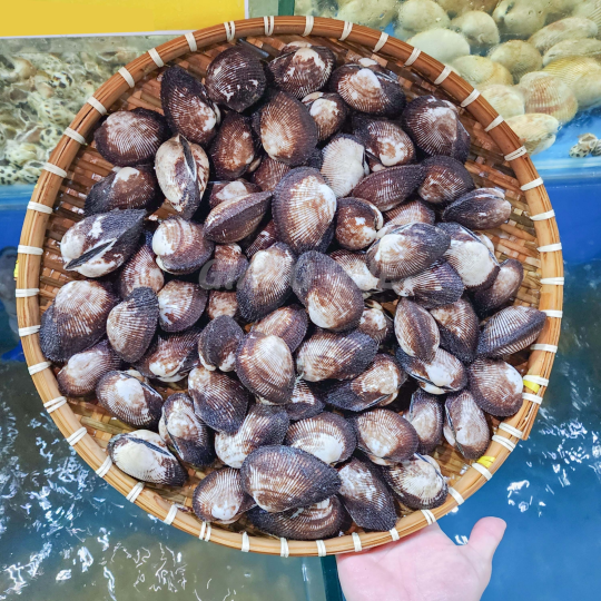 SÒ LÔNG  (Size: 15-25 Con/Kg) - Giá đã bao gồm VAT