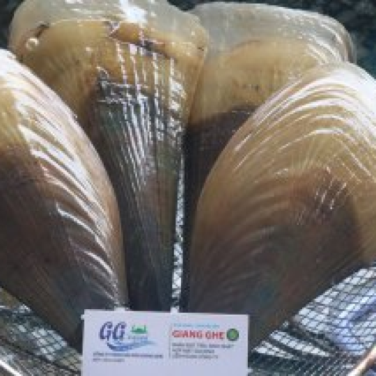 SÒ MAI (Bán theo con) - Giá đã bao gồm VAT
